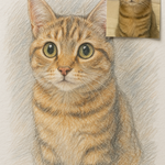 Custom Portrait Sketch from Your Photo – Hand-Drawn Pencil Art