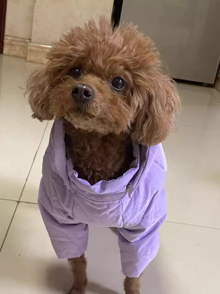 Custom Hand-Painted Oil Portraits