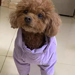 Custom Hand-Painted Oil Portraits