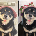 Custom Hand-Painted Oil Portraits